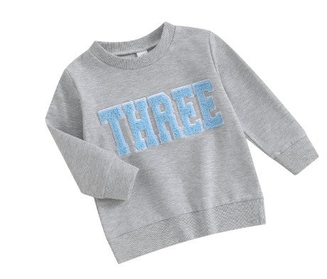 Boys Three Sweatshirt