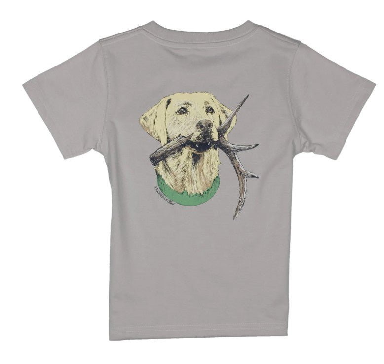 Boys Antler Lab SS Ice Grey