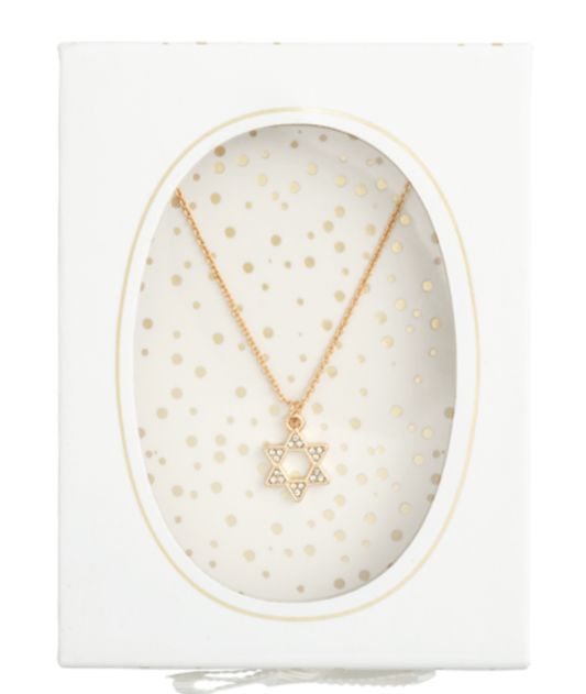 Star of David Necklace